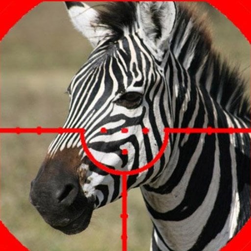 ZEBRA HUNTER SNIPER SHOOTING 